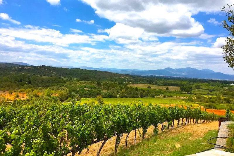 Discovering Mantinia: A Unique Greek Wine Region of the World