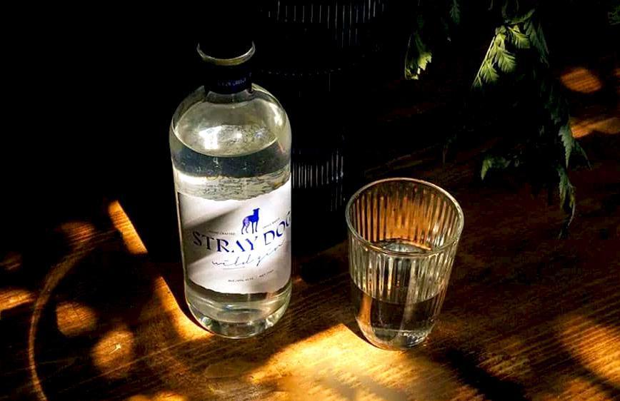 Stray Dog Wild Gin: A Greek Spirit with a Wild Heart
