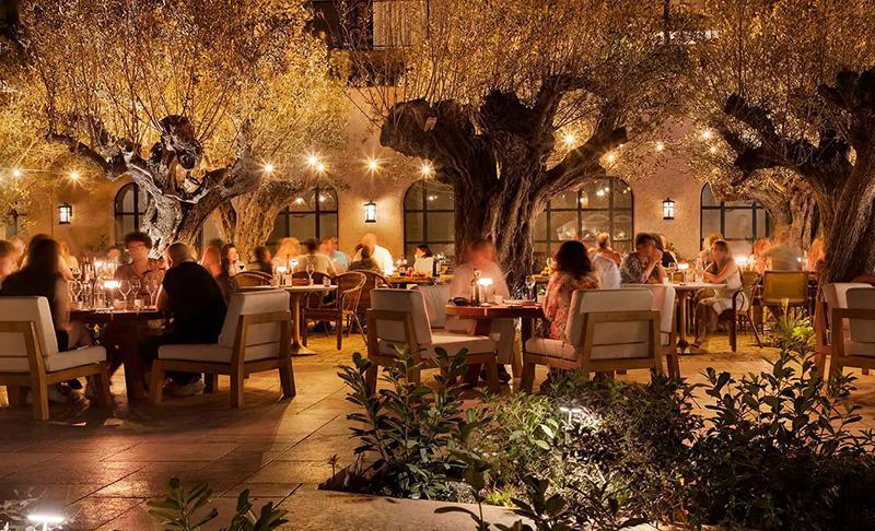 Wine, Wellness, & the Blue Zone Paradox: Challenging the Narrative Around Wine & Health